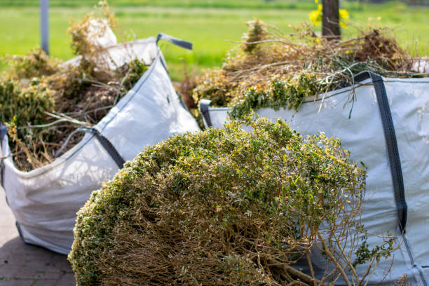 Yard Cleanup Services in Hayfork, CA