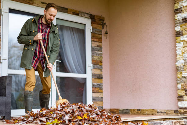 Best Basement Cleanout Services  in Hayfork, CA
